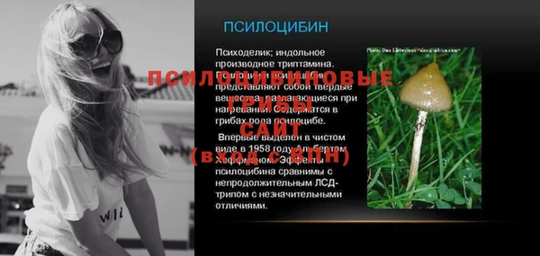 дмт Баксан