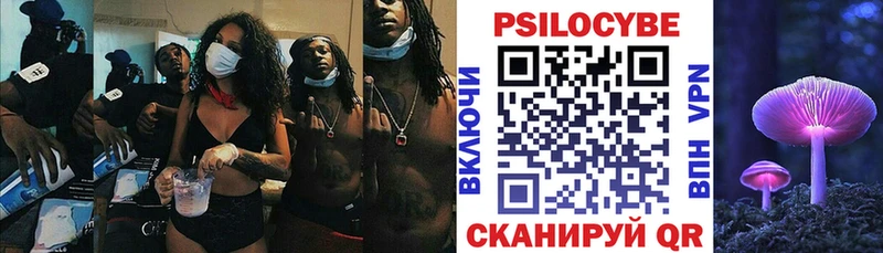 Купить где  Ефремов  Псилоцибиновые грибы ЛСД 
